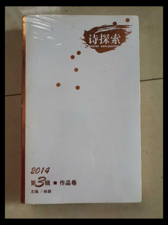 诗探索
