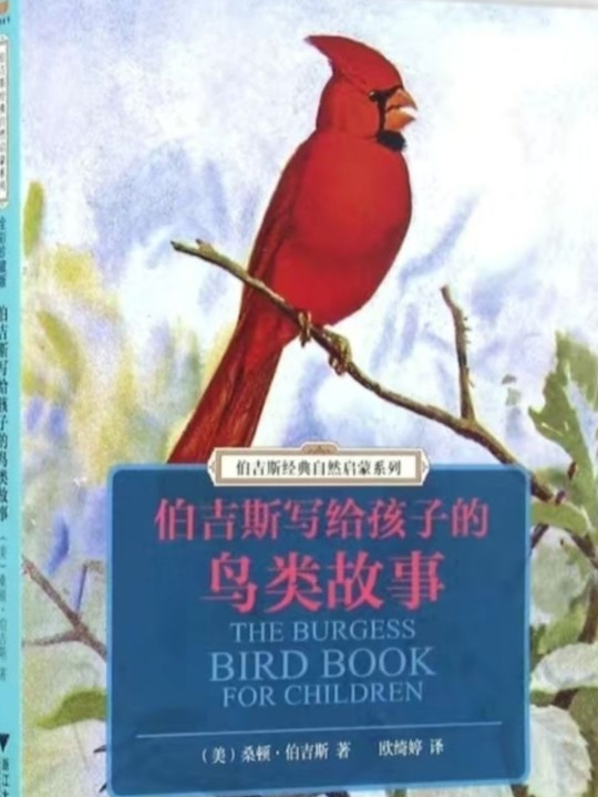 伯吉斯经典自然启蒙系列：伯吉斯写给孩子的鸟类故事-买卖二手书,就上旧书街