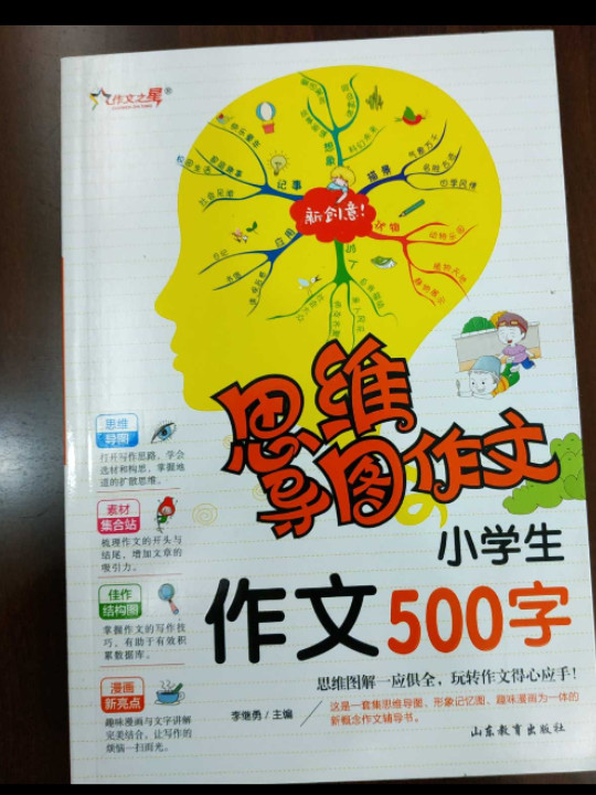 思维导图作文小学生作文 500 字
