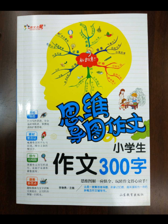 思维导图作文：小学生作文 300 字