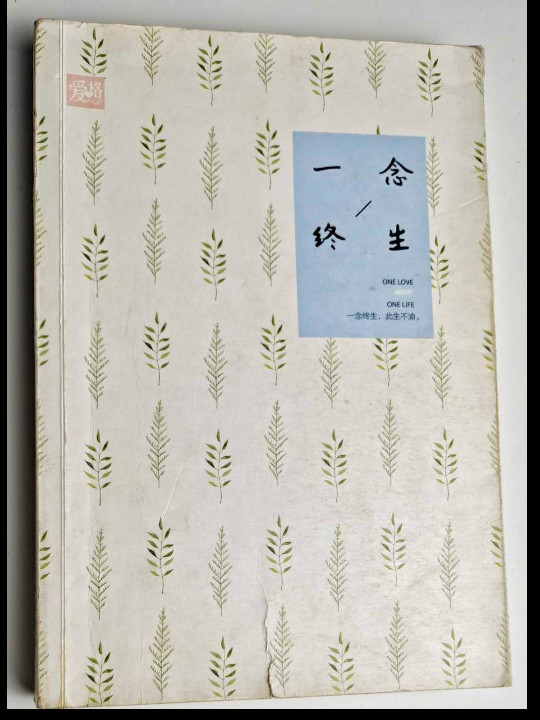 一念终生