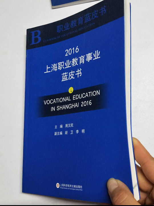 职业教育蓝皮书：2016上海职业教育事业蓝皮书-买卖二手书,就上旧书街