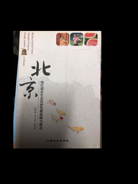 北京现代都市生态农村发展战略与模式-买卖二手书,就上旧书街