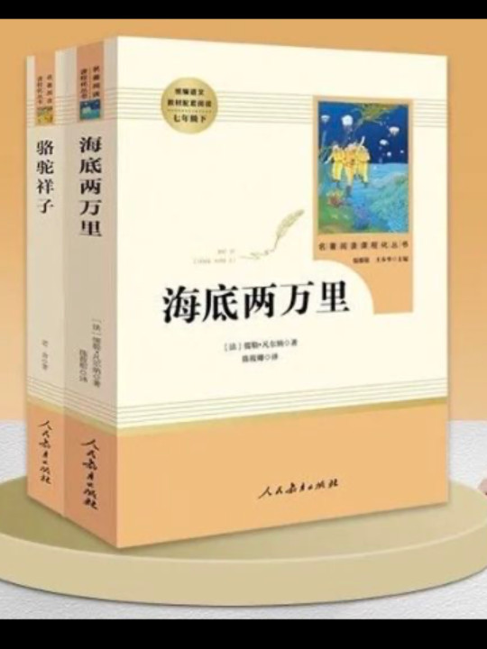 海底两万里/教育部新编语文教材指定阅读书系·七年级下-买卖二手书,就上旧书街