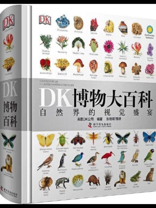 DK儿童百科全书