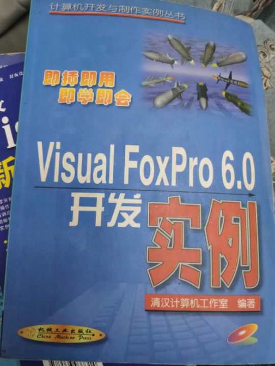 VISUAL FOXPRO 6.0开发实例 /计算机开发与制作实例丛书