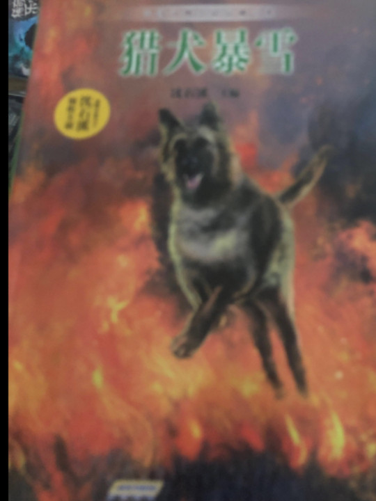 中国动物小说品藏书系：猎犬暴雪