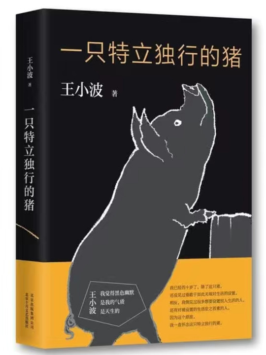 一只特立独行的猪-买卖二手书,就上旧书街