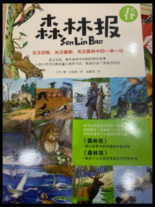 森林报：春+夏+秋+冬 青少年版初中小学生三四五六年级语文新课读经典课外书籍8-15岁