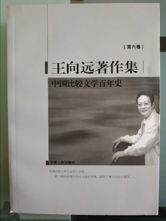 中国比较文学百年史