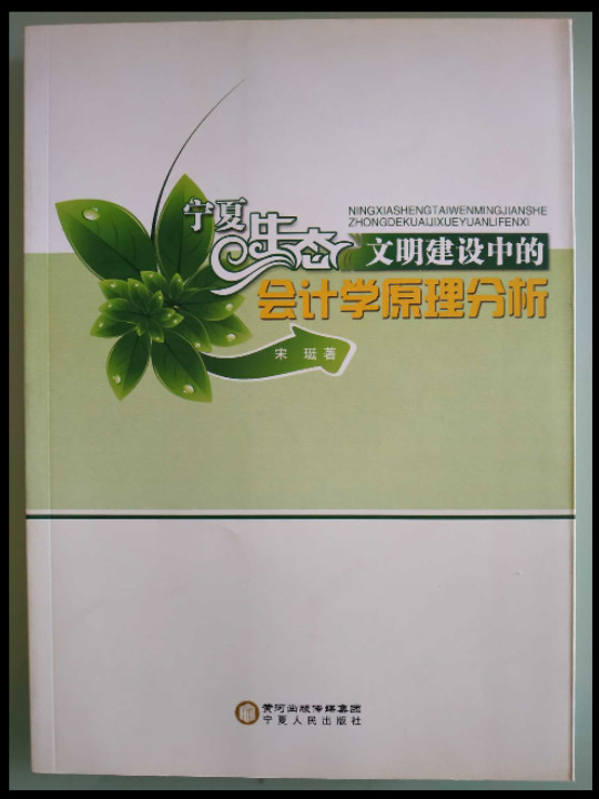 -宁夏生态文明建设中的会计学原理分析