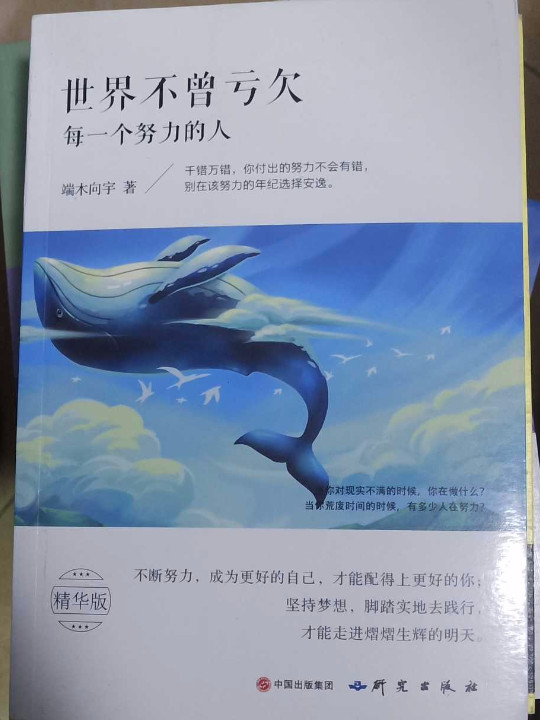 《世界不曾亏欠每一个努力的人》