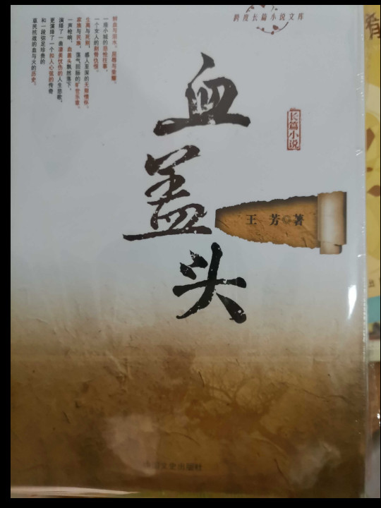 跨度长篇小说文库：血盖头