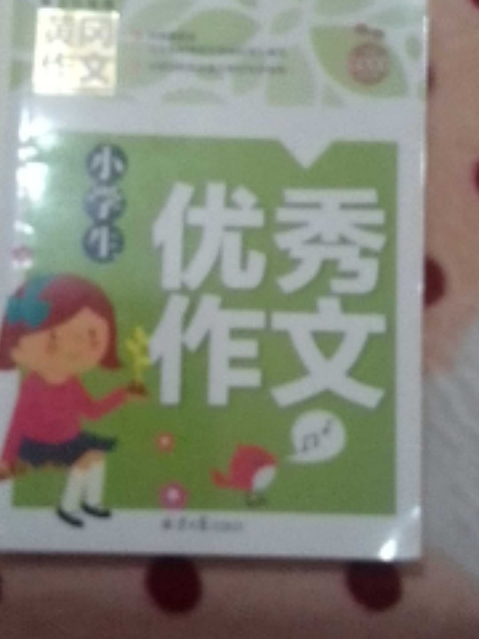 小学生优秀作文 黄冈作文