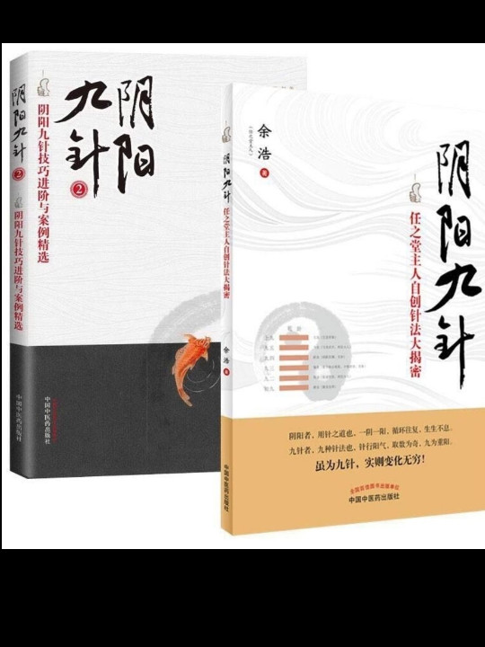 阴阳九针：阴阳九针技巧进阶与案例精选.2
