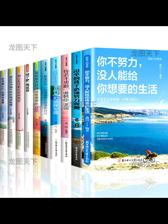 全10册励志书籍你不努力谁也给不了你想要的生活没伞的孩子必须努力奔跑青春文学励志书受益一生的十本书