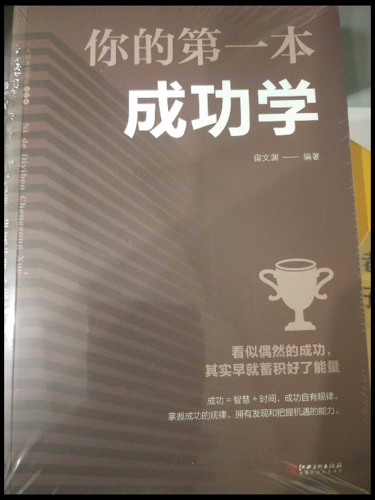 你的第一本成功学