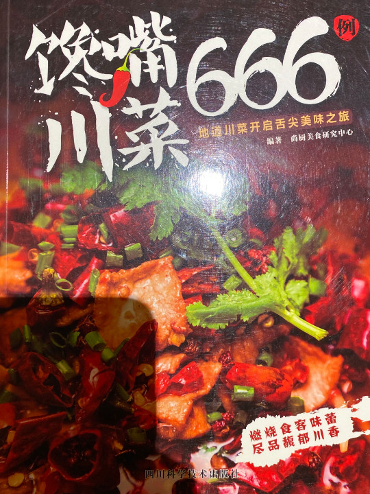 馋嘴川菜666例
