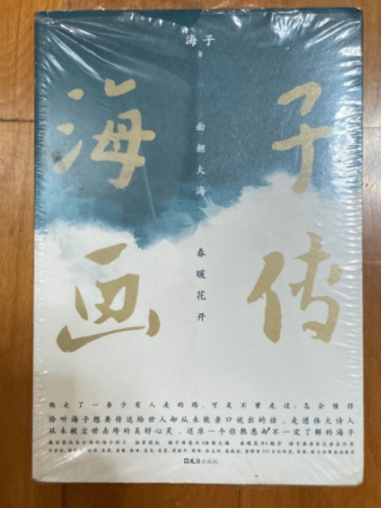 海子画传：面朝大海 春暖花开-买卖二手书,就上旧书街