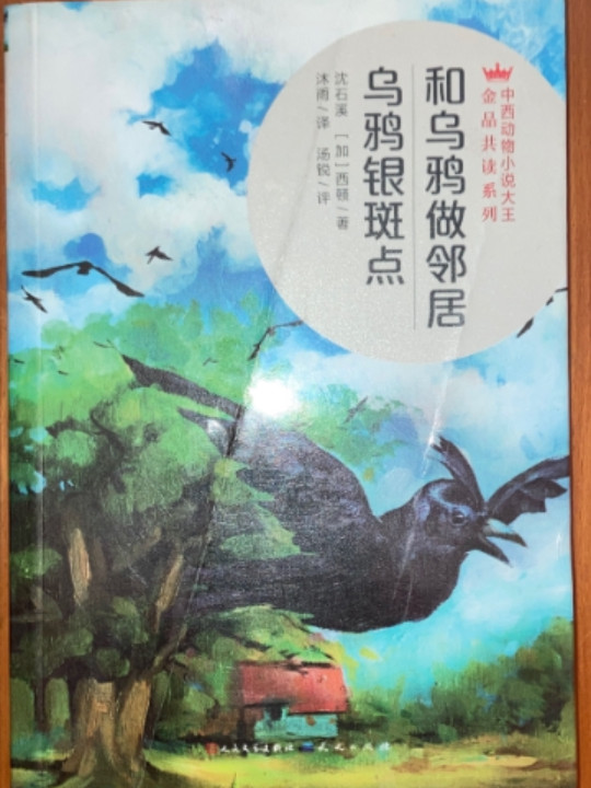 和乌鸦做邻居乌鸦银斑点