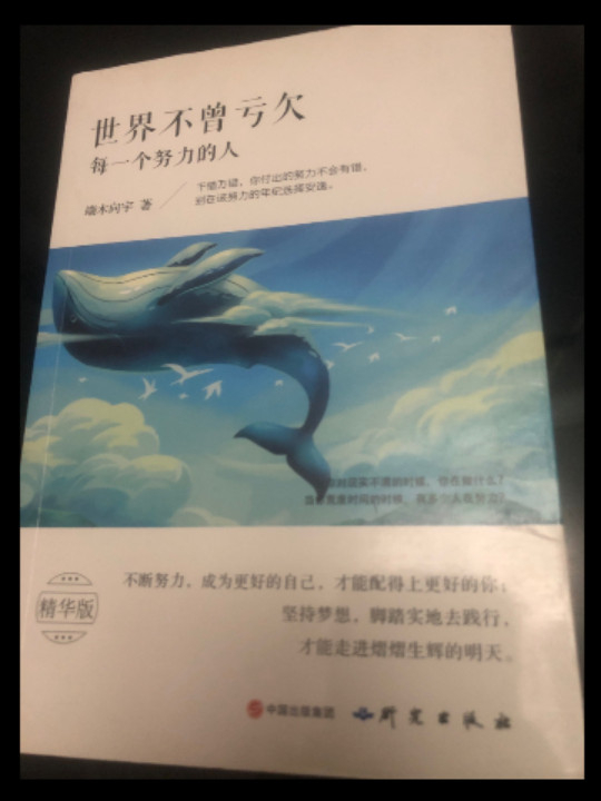 《世界不曾亏欠每一个努力的人》