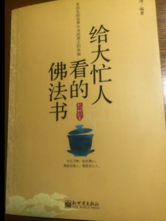 给大忙人看的佛法书