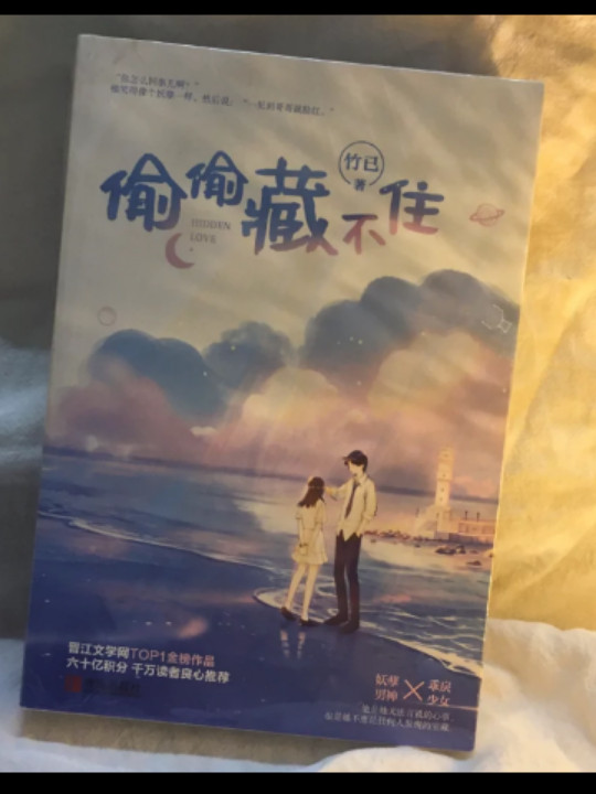 偷偷藏不住