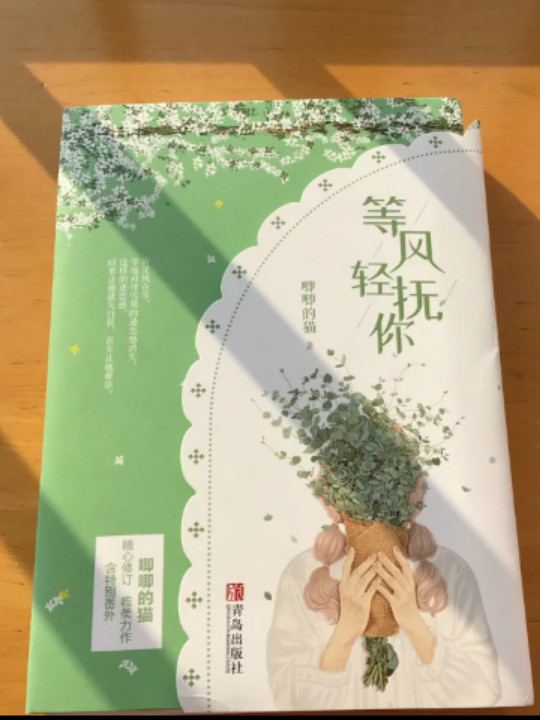等风轻抚你