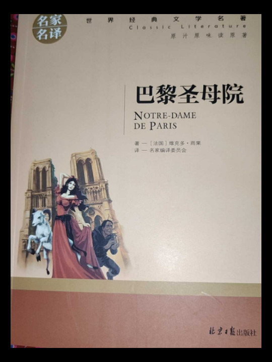 巴黎圣母院 名家名译世界经典文学名著 原汁原味读原著 中小学生新课标课外阅读故事书