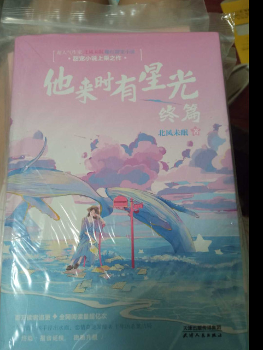 他来时有星光 终篇