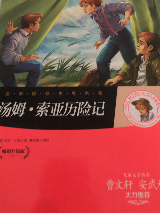 汤姆索亚历险记 名家推荐世界名著 彩虹升级版