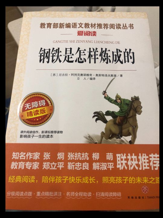 钢铁是怎样炼成的/语文新课标必读丛书分级课外阅读青少版