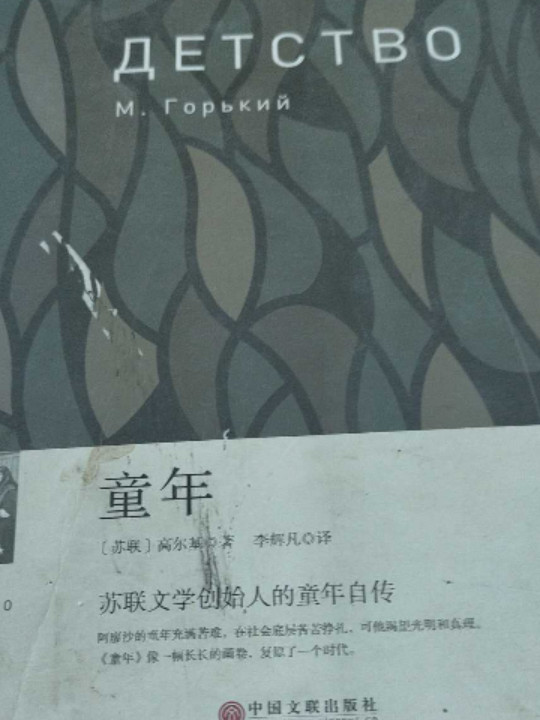 童年 名家导读 名家翻译 无障碍阅读 中小学语文新课标必读 全民阅读倡导者朱永新作序 新悦读之旅系列丛书