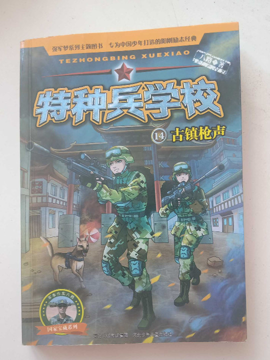 特种兵学校14：古镇枪声