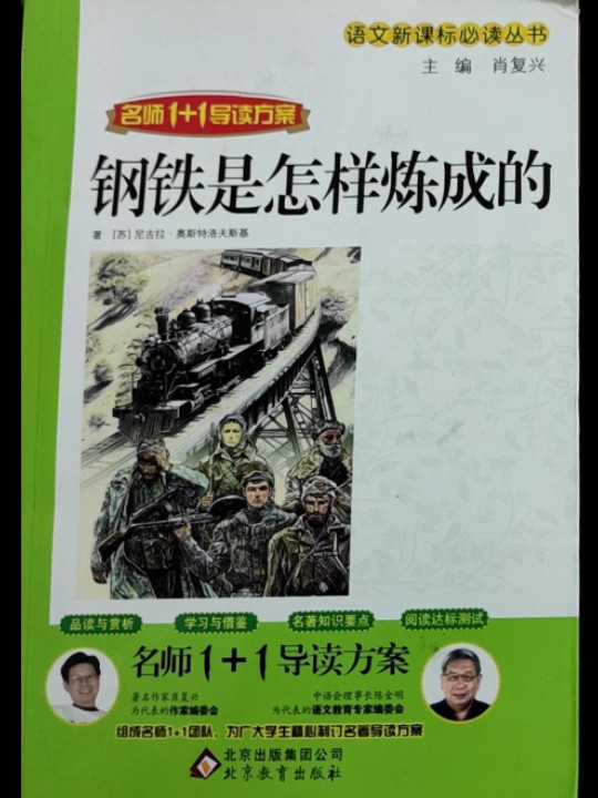 钢铁是怎样炼成的/语文新课标必读丛书