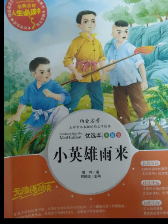 小英雄雨来/快乐读书吧小学六年级上推荐必读名师点评 四色印刷