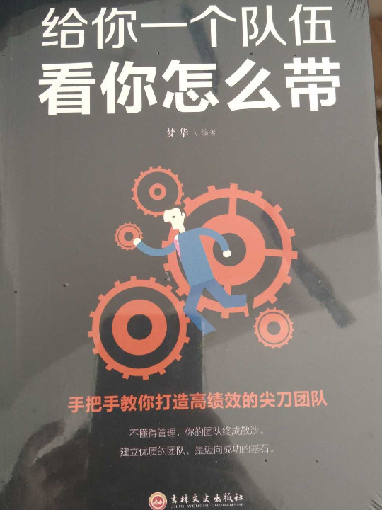 10册 领导者管理的成功法则 给你一个队伍看你怎么带+别输在不懂管理上企业领导力企业管理书籍