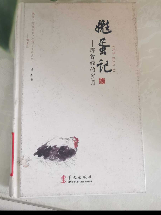 嬔蛋记：那曾经的岁月