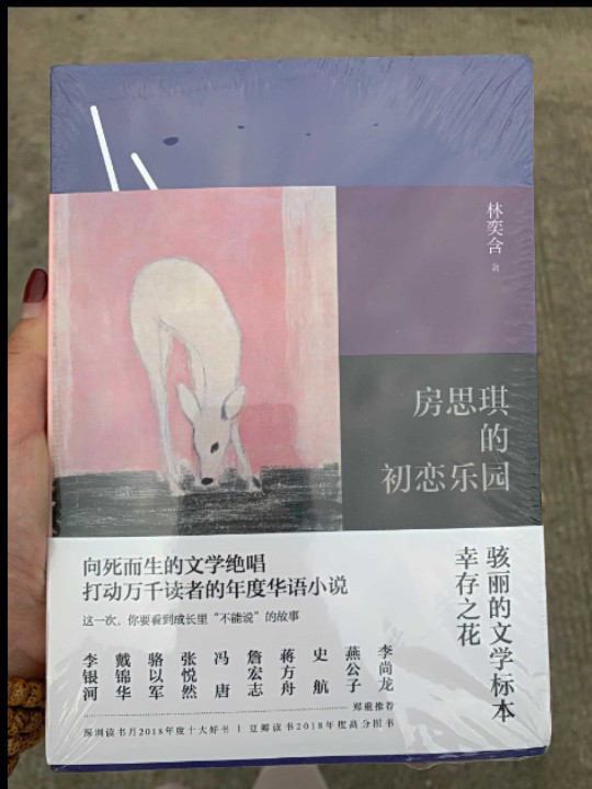 房思琪的初恋乐园-买卖二手书,就上旧书街