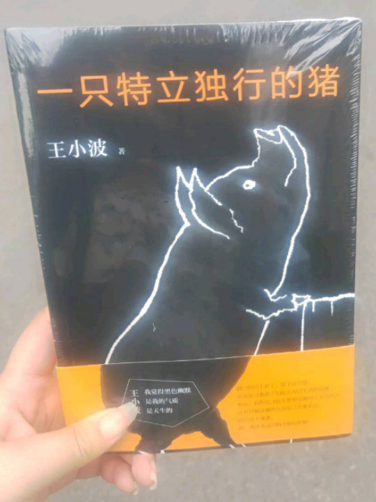 一只特立独行的猪-买卖二手书,就上旧书街