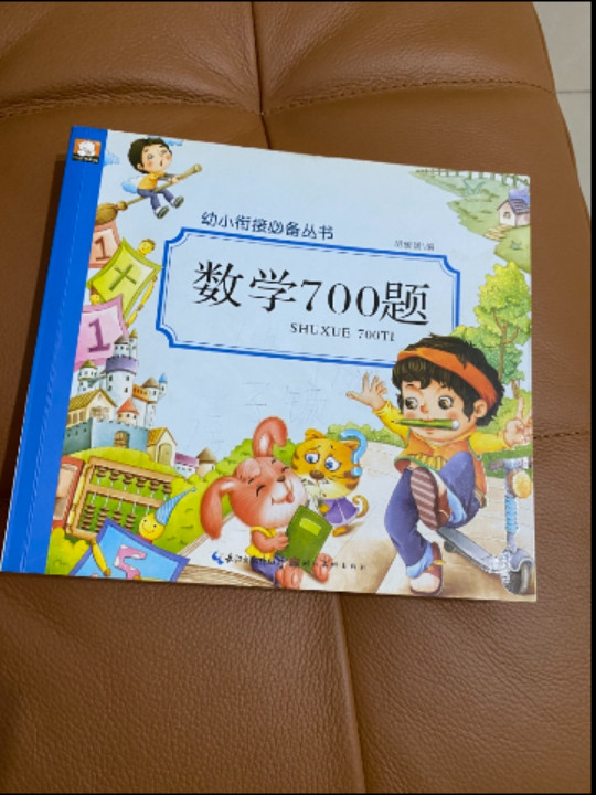 数学700题/幼小衔接必备丛书