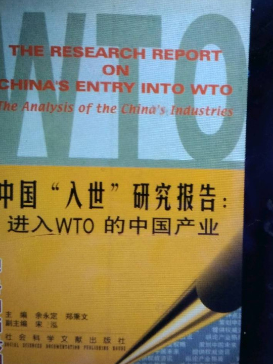 中国“入世”研究报告-进入WTO的中国产业