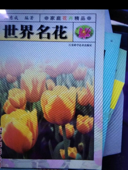 世界名花/家庭花卉精品