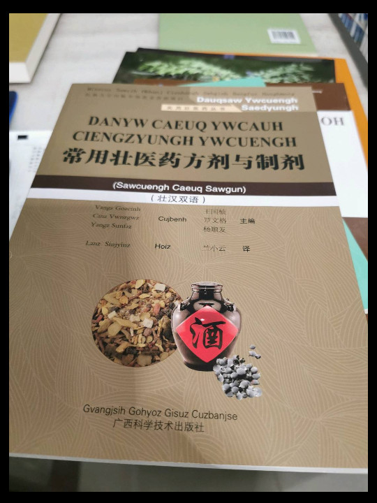 实用壮医药丛书：常用壮医药方剂与制剂