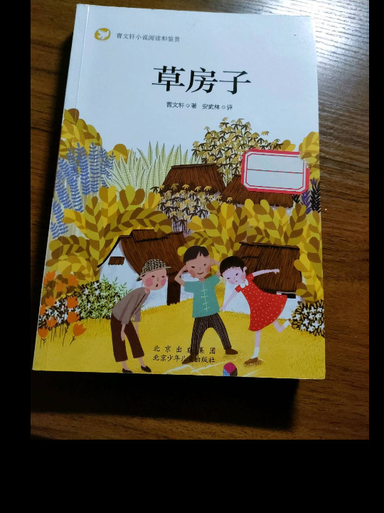 草房子/曹文轩小说阅读和鉴赏