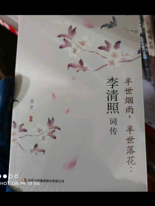 半世烟雨，半世落花：李清照词传