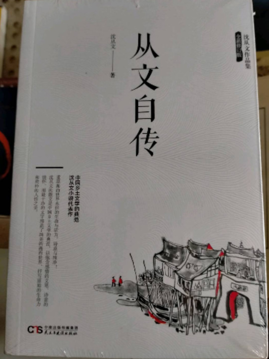 沈从文作品集-从文自传