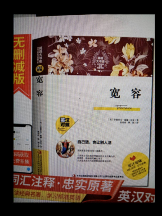 宽容/英语大书虫世界经典名译典藏书系