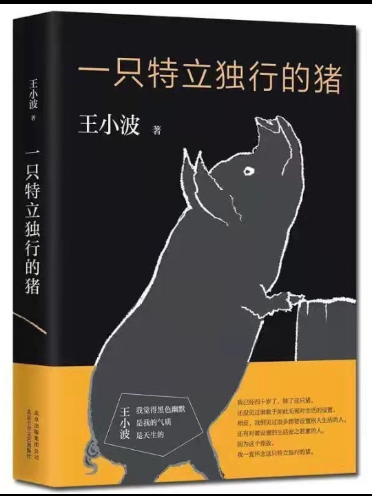 一只特立独行的猪