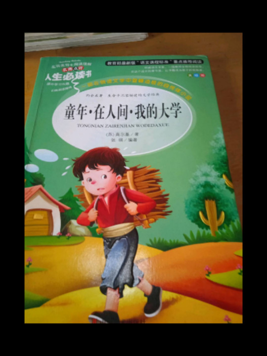 童年·在人间·我的大学 美绘插图版 教育部“语文课程标准”推荐阅读 名词美句 名师点评 中小学生必读书系